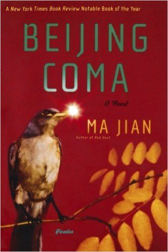 Beijing Coma: A Novel