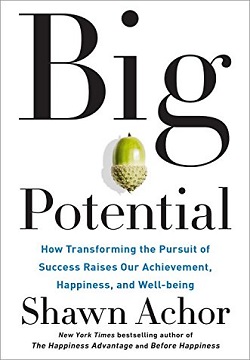 Big Potential : How Transforming the Pursuit of Success Raises Our Achievement, Happiness, and Well-Being