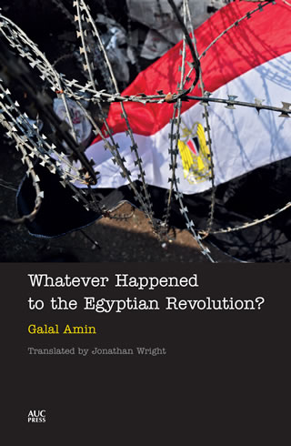 Whatever Happened to the Egyptian Revolution?